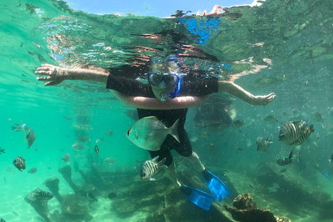 Cruise In Moreton Bay Marine Park And Moreton Island - Australian Directory 5