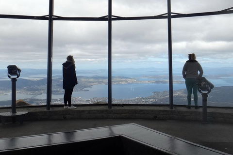 Kunanyi / Mt Wellington Explorer Bus - 2 Hour Return Tour - Australian Directory 1