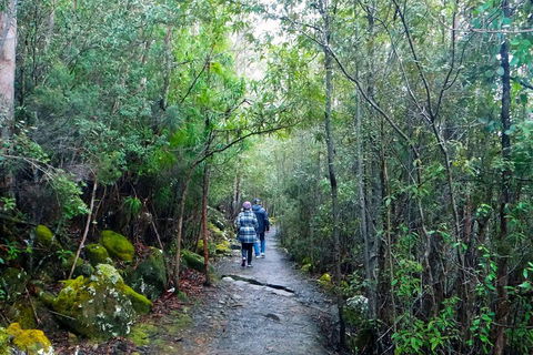 Kunanyi/Mt Wellington Tour & Hobart Hop-On Hop-Off Bus - Australian Directory 1