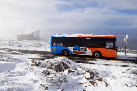 Kunanyi/Mt Wellington Tour & Hobart Hop-On Hop-Off Bus - Australian Directory 2