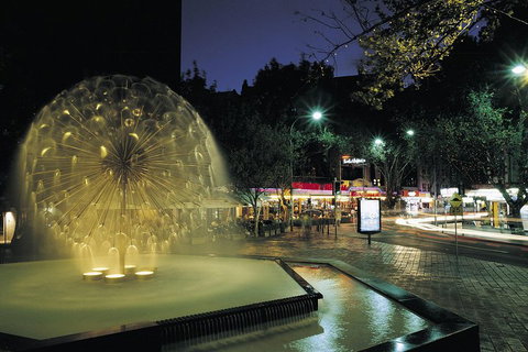 Private Tour: Sydney At Night - Australian Directory 1