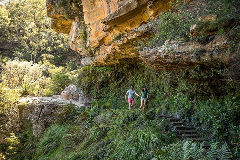Private Guided: Blue Mountains Hiking & Nature Tour - Australian Directory 2