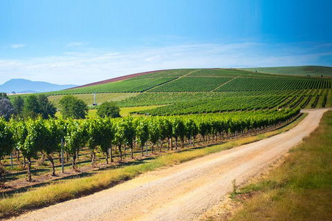 Full Day Tamar Valley Wine Tour - Australian Directory 1