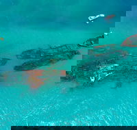 Private Tangalooma Wrecks Tour - Australian Directory