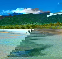 5-Day Best of Cairns with Daintree Kuranda and Great Barrier Reef - Australian Directory