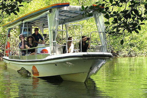 5-Day Best Of Cairns With Daintree, Kuranda, And Great Barrier Reef - Australian Directory 1