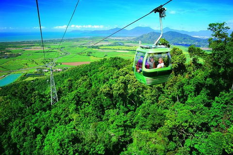 5-Day Best Of Cairns With Daintree, Kuranda, And Great Barrier Reef - Australian Directory 2