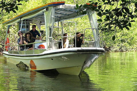 3-Day Best Of Cairns Combo: The Daintree Rainforest, Great Barrier Reef, And Kuranda - Australian Directory 4