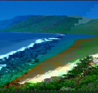 Cairns Reef and Rainforest Combo Daintree Rainforest and the Great Barrier Reef - Australian Directory