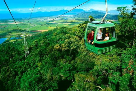 4-Day Cairns Ultimate Combo: Daintree Rainforest, Reef, Kuranda & Paronella Park - Australian Directory 1