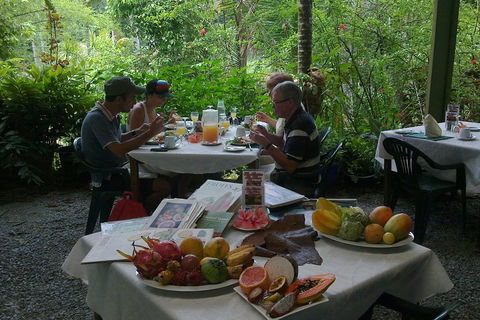 4-Day Cairns Ultimate Combo: Daintree Rainforest, Reef, Kuranda & Paronella Park - Australian Directory 4