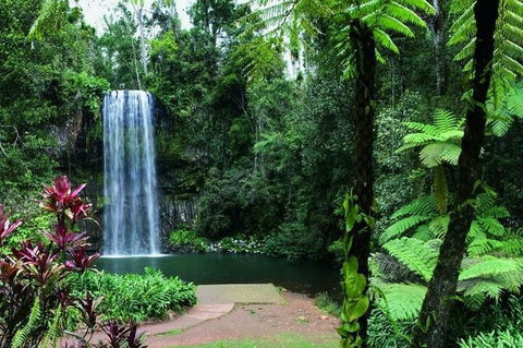 Paronella Park And Millaa Millaa Falls Full-day Tour From Cairns - Australian Directory 3