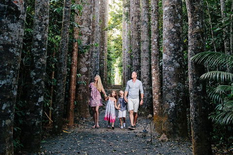 Paronella Park And Millaa Millaa Falls Full-day Tour From Cairns - Australian Directory 5