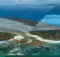 4-Day Cairns with Great Barrier Reef and Daintree Rainforest - Australian Directory