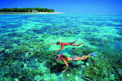 4-Day Cairns With Great Barrier Reef And Daintree Rainforest - Australian Directory 2