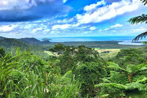 Private Daintree National Park Day Tour From Cairns Including Cape Tribulation And Mossman Gorge - Australian Directory 2