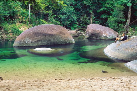 Private Daintree National Park Day Tour From Cairns Including Cape Tribulation And Mossman Gorge - Australian Directory 4