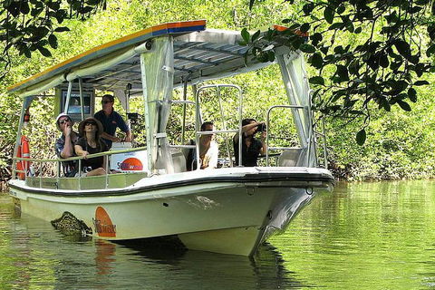 Private Daintree National Park Day Tour From Cairns Including Cape Tribulation And Mossman Gorge - Australian Directory 5