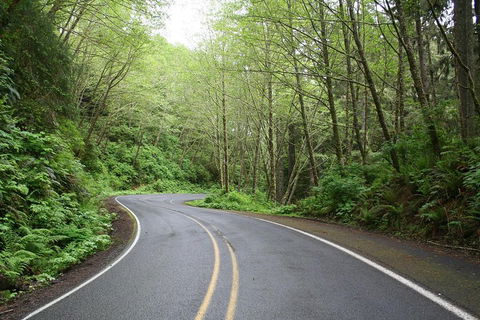Cruise Ship Shore Excursion - Private Great Ocean Road Full Day Tour (12 Hour) - Australian Directory 3
