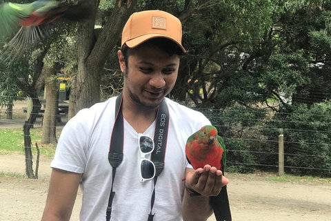 Full-Day Great Ocean Road Small-Group Tour From Melbourne - Australian Directory 0