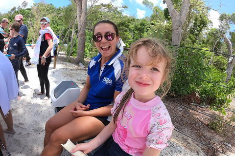 Whitehaven Beach Day Tour With Snorkel In Whitsundays Island - Australian Directory 1
