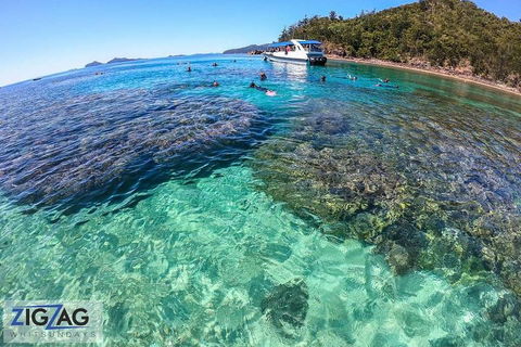 Whitehaven Beach Day Tour With Snorkel In Whitsundays Island - Australian Directory 5