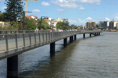 Brisbane City Highlights With Lone Pine! - Australian Directory 1