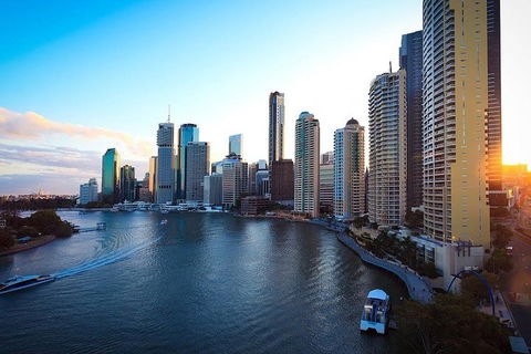 Brisbane City Highlights With Lone Pine! - Australian Directory 3