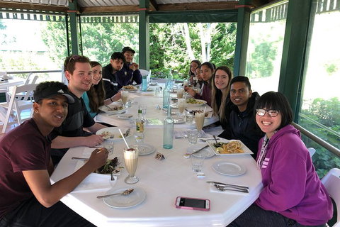 Natural Bridge, Skywalk And Mt Tamborine Adventure! - Australian Directory 0