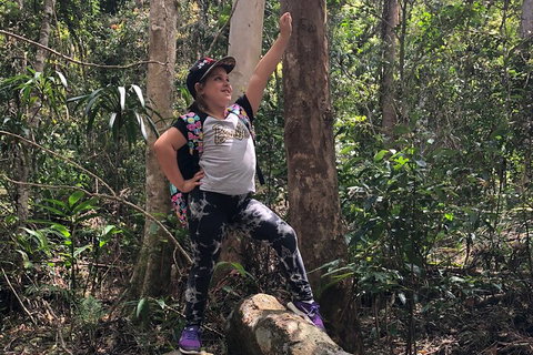 Natural Bridge, Skywalk And Mt Tamborine Adventure! - Australian Directory 3