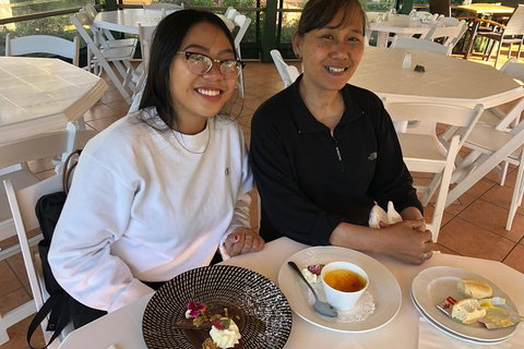 Natural Bridge, Skywalk And Mt Tamborine Adventure! - Australian Directory 5