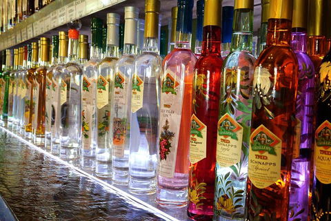 Bar & Brewery Tour - Australian Directory 4