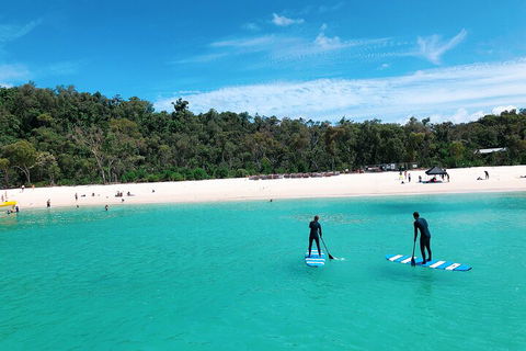 Whitehaven Beach Club - Australian Directory 5