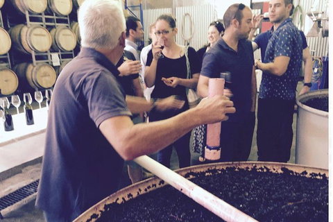 Luxury Private Mclaren Vale Wine Tour - Australian Directory 4