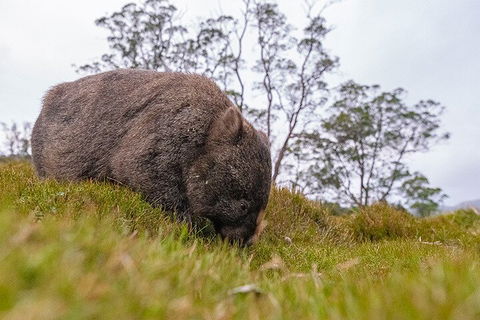 3-Day Cradle Mountain Photography Workshop - Australian Directory 0