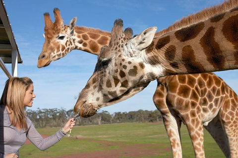 Melbourne City Card (2 Days): Visit Unlimited Attractions! - Australian Directory 1