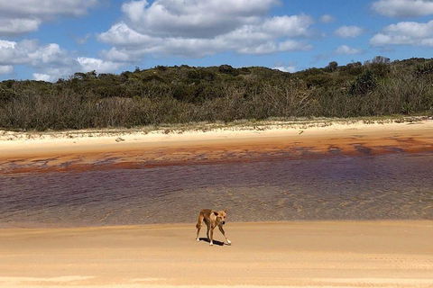 Pippies 3 Days 2 Nights Fraser Island Tour - Australian Directory 2
