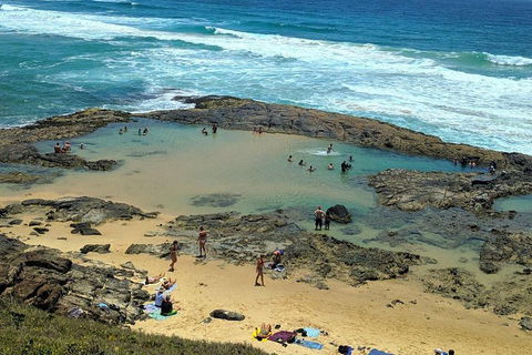 Pippies 3 Days 2 Nights Fraser Island Tour - Australian Directory 5
