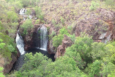 Litchfield National Park And Jumping Crocodile Cruise - Australian Directory 4