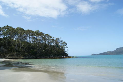 Bruny Island Day Trip From Hobart - Australian Directory 1