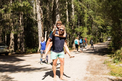 7-Day Best Of Tasmania Adventure Experience From Hobart (flexible Ticket) - Australian Directory 5