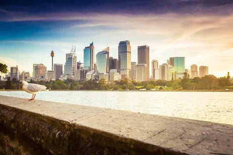 Private Sydney City And Bondi Beach Half Day Tour - Australian Directory 2