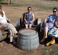 McLaren Vale Intimate Winery Tour by private Limo - Australian Directory