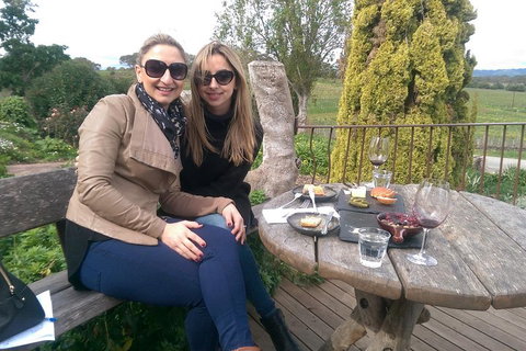 McLaren Vale Intimate Winery Tour By Private Limo - Australian Directory 4