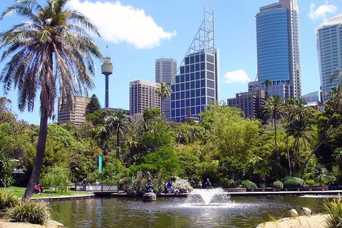 Private Sydney Half Day Tour Including Sydney Opera House And Bondi Beach - Australian Directory 4