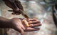 Karrke Aboriginal Cultural Experience - thumb 3