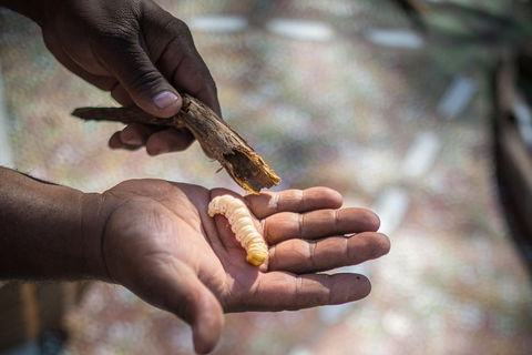 Karrke Aboriginal Cultural Experience - Australian Directory 3