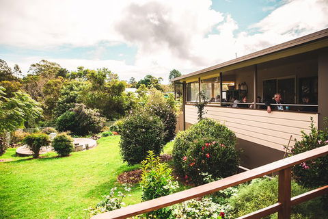 Full-day Springbrook National Park Tour From The Gold Coast - Australian Directory 2