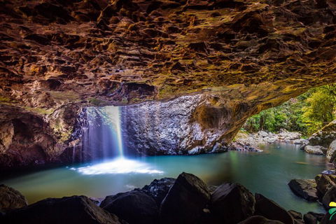 Full-day Springbrook National Park Tour From The Gold Coast - Australian Directory 3