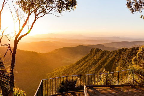 O'Reilly's & Lamington National Park Incl. Alpaca Farm + Vineyard - Australian Directory 0